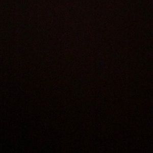 Meet your Posher, Bailey